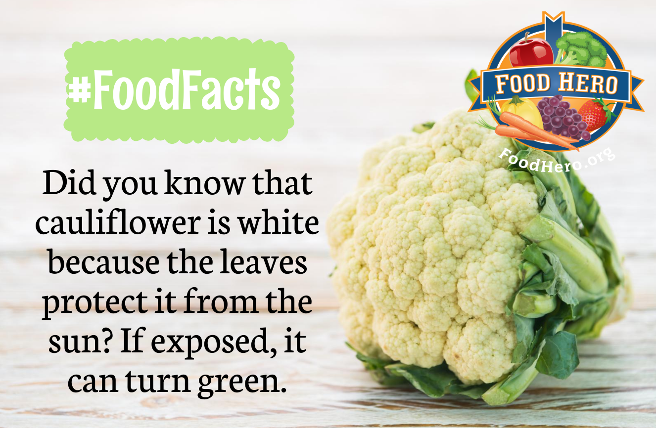 Cauliflower Food Hero Educational Resources